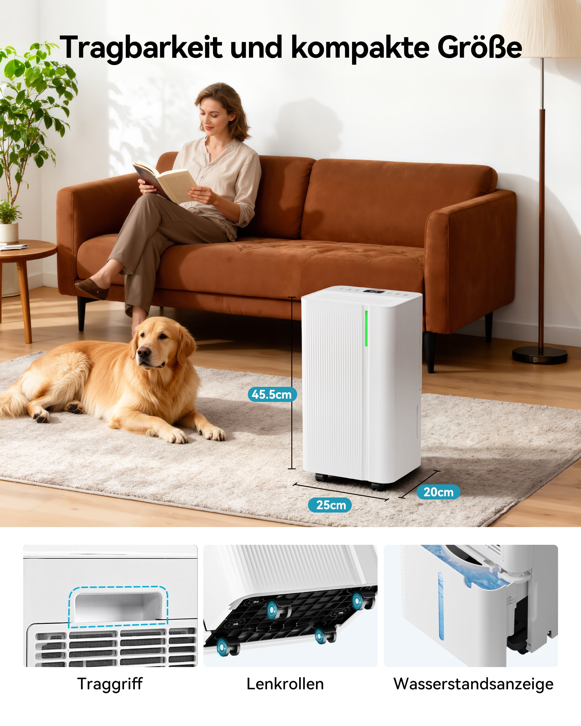 EUHOMY 12L Luftentfeuchter Elektrisch ,Raumentfeuchter Elektrisch für Keller 122m³/25m², Leise & Stromsparende Luftentfeuchter mit Automatisches Abtauen, Ablaufschlauch, Filter, Timer