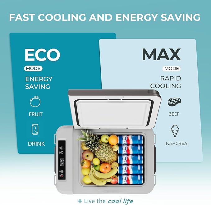 EUHOMY 10L portable fridge: ECO mode for fruit/drinks, MAX for beef/ice cream. Fast cooling & energy saving.