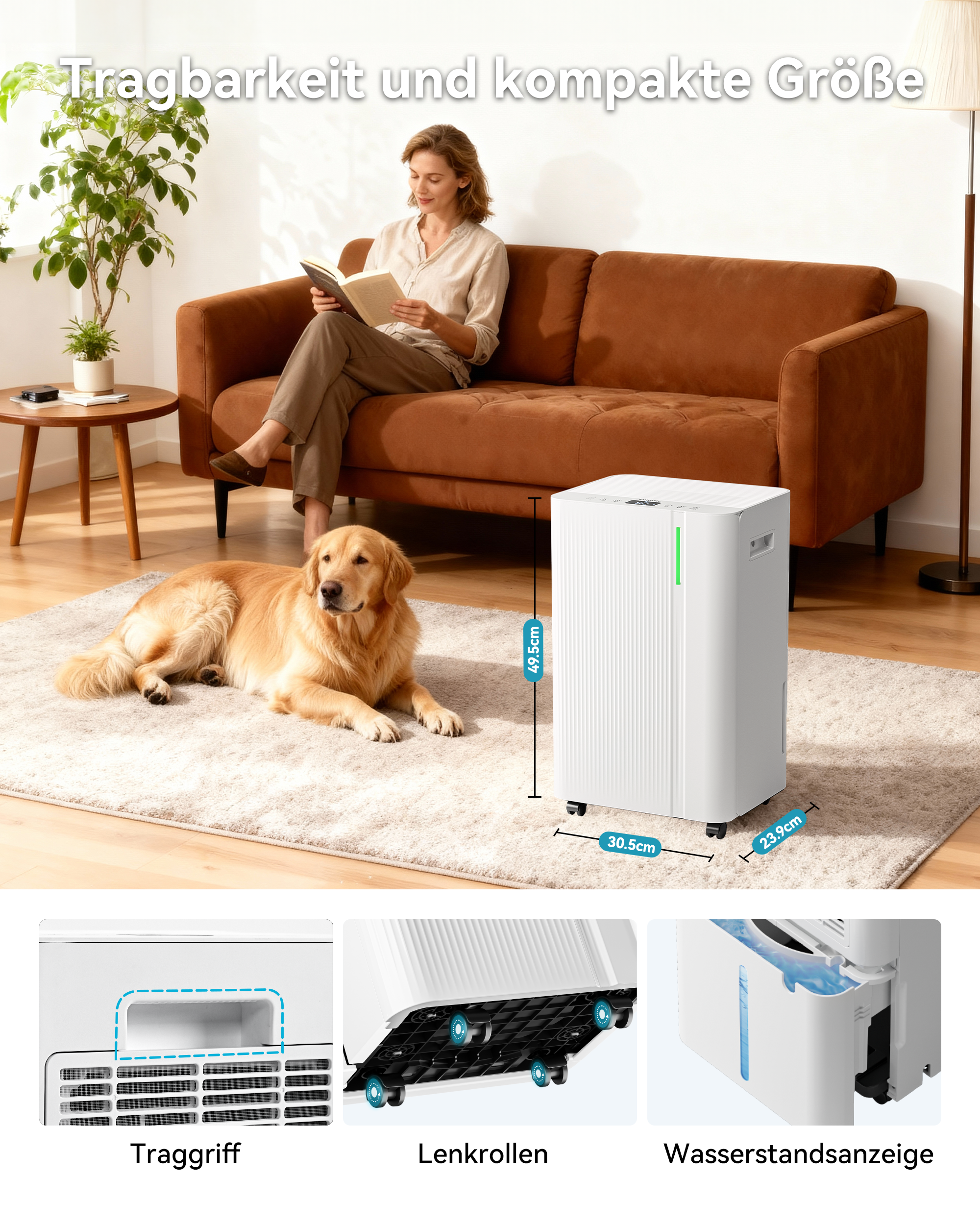 EUHOMY 20L Luftentfeuchter Elektrisch,Raumentfeuchter Elektrisch für Keller 150m³/50m², Leise & Stromsparende Luftentfeuchter mit Automatisches Abtauen, Ablaufschlauch, Filter, Timer